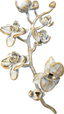 Orchidee groot brons bianco