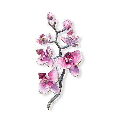 Bronzen Orchidee